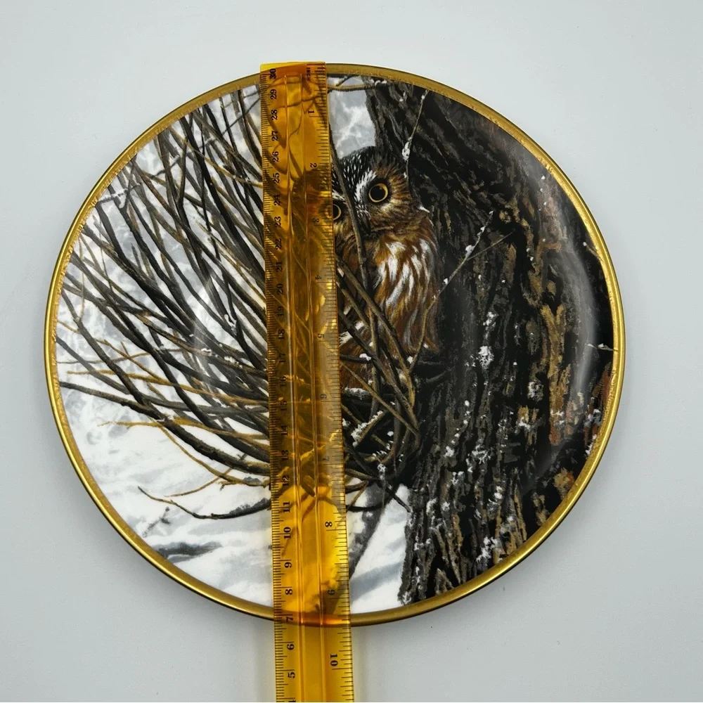 Spode Noble Owls of America Seerey-Lester Saw-whet Owl Art Decorative Plate LE